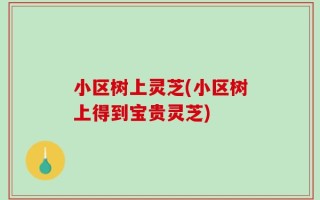 小区树上灵芝(小区树上得到宝贵灵芝)
