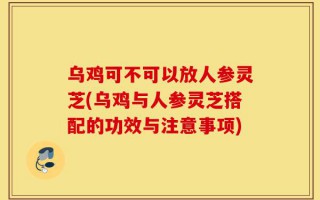 乌鸡可不可以放人参灵芝(乌鸡与人参灵芝搭配的功效与注意事项)