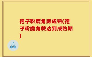 孢子粉鹿角蕨成熟(孢子粉鹿角蕨达到成熟期)