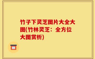 竹子下灵芝图片大全大图(竹林灵芝：全方位大图赏析)