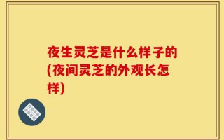 夜生灵芝是什么样子的(夜间灵芝的外观长怎样)