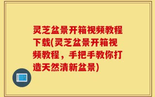 灵芝盆景开箱视频教程下载(灵芝盆景开箱视频教程，手把手教你打造天然清新盆景)
