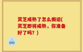 灵芝成熟了怎么搬运(灵芝即将成熟，你准备好了吗？)
