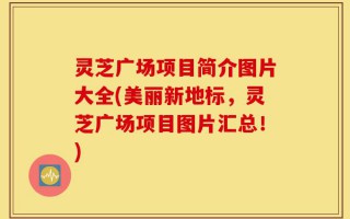 灵芝广场项目简介图片大全(美丽新地标，灵芝广场项目图片汇总！)