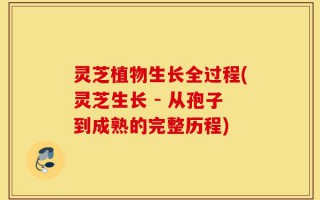 灵芝植物生长全过程(灵芝生长 - 从孢子到成熟的完整历程)