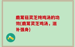 鹿茸菇灵芝炖鸡汤的功效(鹿茸灵芝鸡汤，滋补强身)