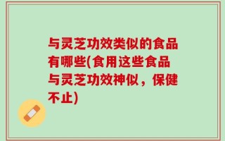 与灵芝功效类似的食品有哪些(食用这些食品与灵芝功效神似，保健不止)