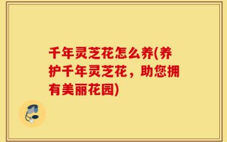 千年灵芝花怎么养(养护千年灵芝花，助您拥有美丽花园)