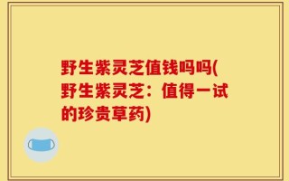 野生紫灵芝值钱吗吗(野生紫灵芝：值得一试的珍贵草药)