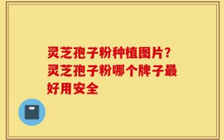 灵芝孢子粉种植图片？灵芝孢子粉哪个牌子最好用安全