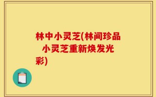 林中小灵芝(林间珍品  小灵芝重新焕发光彩)