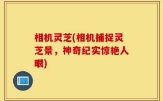 相机灵芝(相机捕捉灵芝景，神奇纪实惊艳人眼)