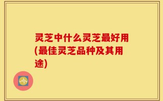 灵芝中什么灵芝最好用(最佳灵芝品种及其用途)