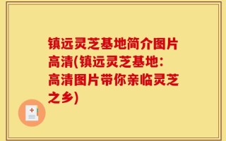镇远灵芝基地简介图片高清(镇远灵芝基地：高清图片带你亲临灵芝之乡)