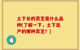 土下长的灵芝是什么品种(了解一下，土下出产的哪种灵芝？)