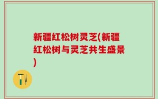 新疆红松树灵芝(新疆红松树与灵芝共生盛景)