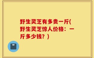 野生灵芝有多贵一斤(野生灵芝惊人价格：一斤多少钱？)