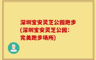 深圳宝安灵芝公园跑步(深圳宝安灵芝公园：完美跑步场所)
