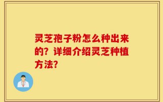 灵芝孢子粉怎么种出来的？详细介绍灵芝种植方法？