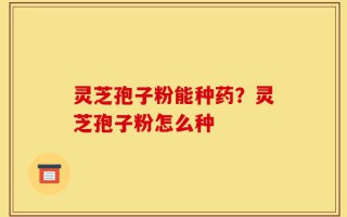 灵芝孢子粉能种药？灵芝孢子粉怎么种