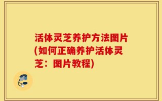 活体灵芝养护方法图片(如何正确养护活体灵芝：图片教程)