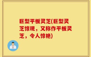 巨型平板灵芝(巨型灵芝惊现，又称作平板灵芝，令人惊艳)