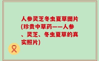 人参灵芝冬虫夏草图片(珍贵中草药——人参、灵芝、冬虫夏草的真实照片)