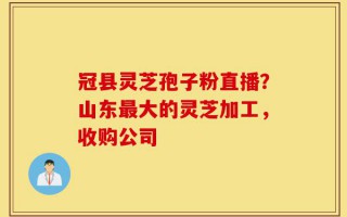 冠县灵芝孢子粉直播？山东最大的灵芝加工，收购公司