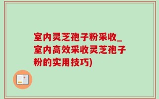 室内灵芝孢子粉采收_室内高效采收灵芝孢子粉的实用技巧)