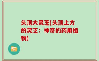 头顶大灵芝(头顶上方的灵芝：神奇的药用植物)