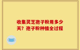 收集灵芝孢子粉用多少天？孢子粉种植全过程