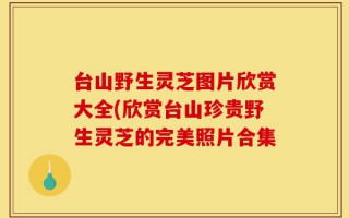 台山野生灵芝图片欣赏大全(欣赏台山珍贵野生灵芝的完美照片合集
