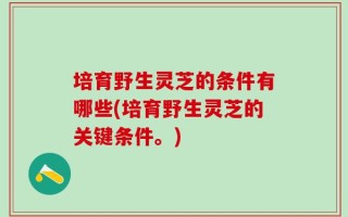 培育野生灵芝的条件有哪些(培育野生灵芝的关键条件。)