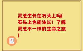 灵芝生长在石头上吗(石头上也能生长！了解灵芝不一样的生命之旅)