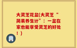 大灵芝花盆(大灵芝“简易养生计”：一盆在家也能享受灵芝的好处！)