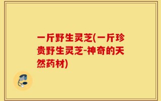 一斤野生灵芝(一斤珍贵野生灵芝-神奇的天然药材)