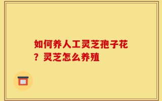 如何养人工灵芝孢子花？灵芝怎么养殖