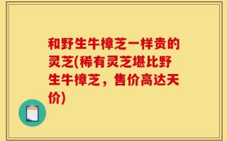 和野生牛樟芝一样贵的灵芝(稀有灵芝堪比野生牛樟芝，售价高达天价)