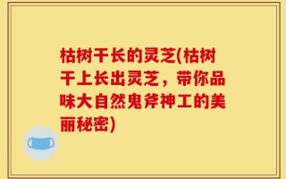 枯树干长的灵芝(枯树干上长出灵芝，带你品味大自然鬼斧神工的美丽秘密)
