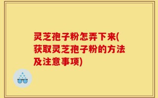 灵芝孢子粉怎弄下来(获取灵芝孢子粉的方法及注意事项)