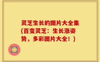 灵芝生长的图片大全集(百变灵芝：生长涨姿势，多彩图片大全！)
