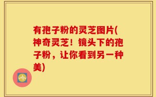 有孢子粉的灵芝图片(神奇灵芝！镜头下的孢子粉，让你看到另一种美)
