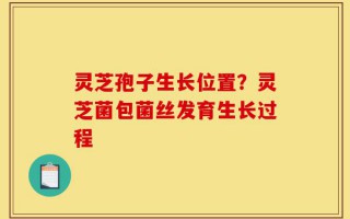 灵芝孢子生长位置？灵芝菌包菌丝发育生长过程