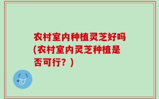 农村室内种植灵芝好吗(农村室内灵芝种植是否可行？)