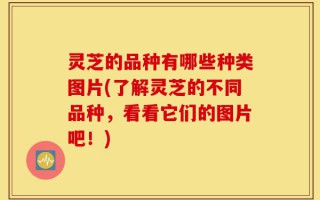 灵芝的品种有哪些种类图片(了解灵芝的不同品种，看看它们的图片吧！)