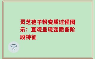 灵芝孢子粉变质过程图示：直观呈现变质各阶段特征