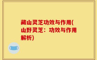 藏山灵芝功效与作用(山野灵芝：功效与作用解析)