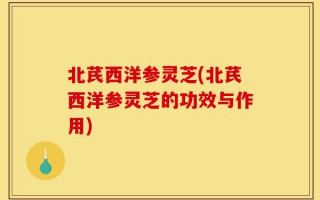 北芪西洋参灵芝(北芪西洋参灵芝的功效与作用)