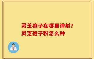灵芝孢子在哪里弹射？灵芝孢子粉怎么种