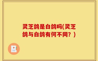 灵芝鸽是白鸽吗(灵芝鸽与白鸽有何不同？)